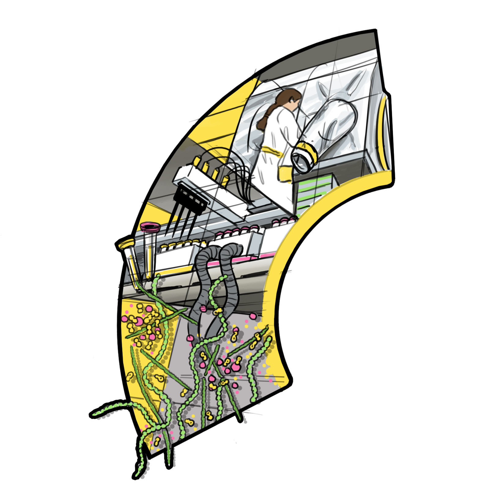 Illustration of Biodiscovery Platform. By Haans Design