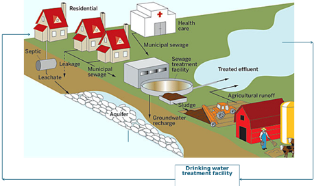 Schematic illustration of distribution of micropollutants in the environment through various processes