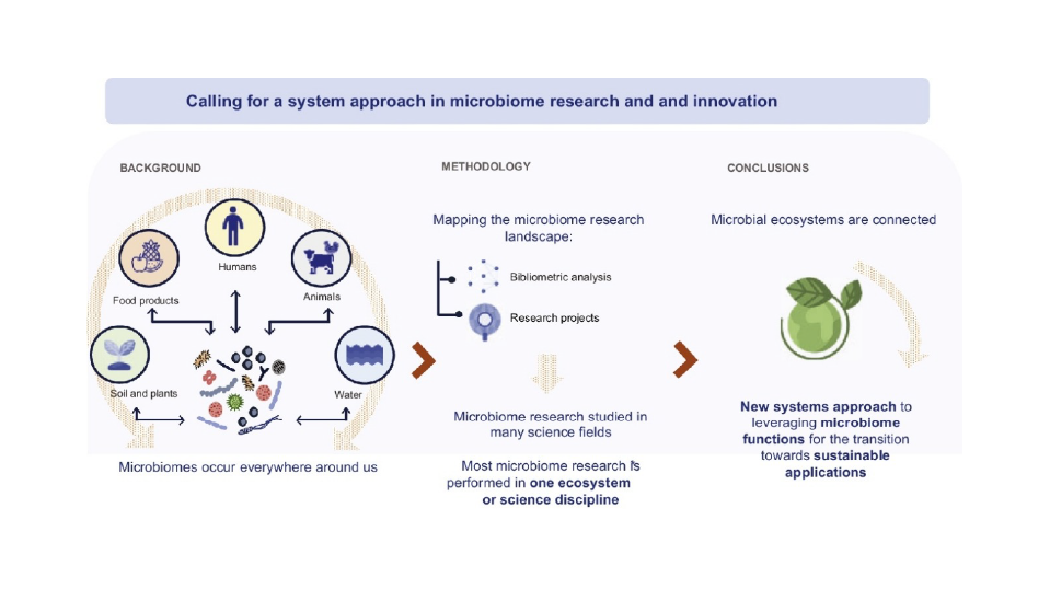Schematic overview of the article "Calling for a systems approach in microbiome research and innovation" by Meisner et al.