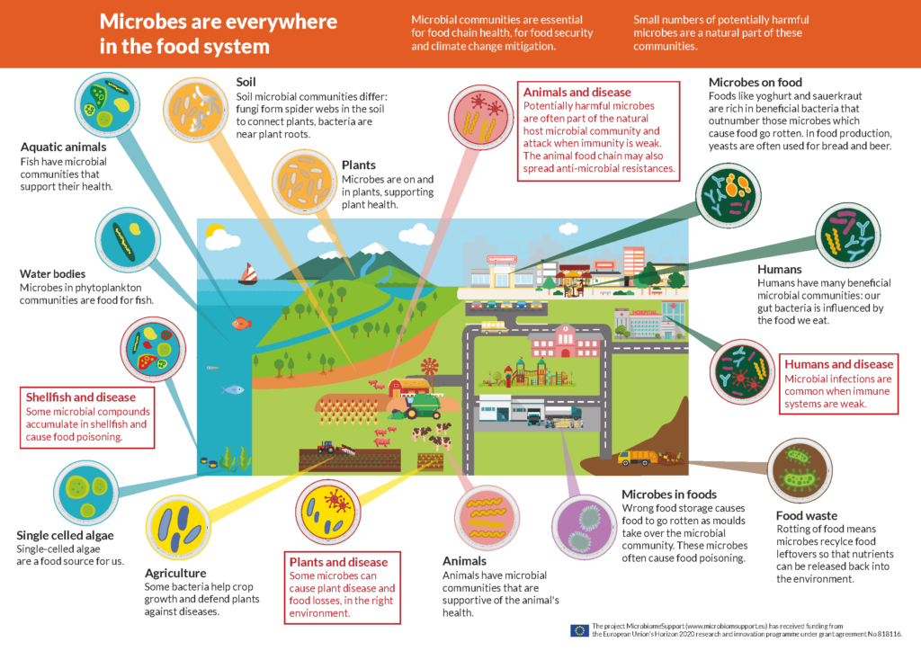 Infographic illustrating the presence of microbiomes in our food system. Source: Microbiome Support